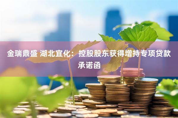 金瑞鼎盛 湖北宜化：控股股东获得增持专项贷款承诺函