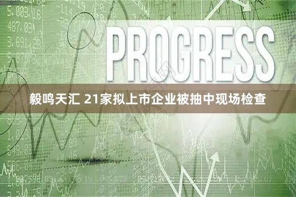 毅鸣天汇 21家拟上市企业被抽中现场检查